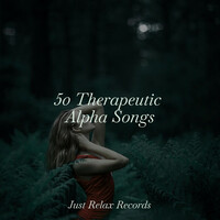 Thumbnail for the Meditation Spa - 50 Therapeutic Alpha Songs link, provided by host site