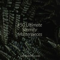 Thumbnail for the Meditation Spa - #50 Ultimate Serenity Masterpieces link, provided by host site