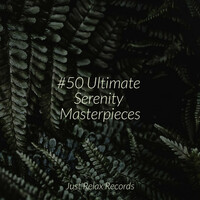 Thumbnail for the Meditation Spa - #50 Ultimate Serenity Masterpieces link, provided by host site