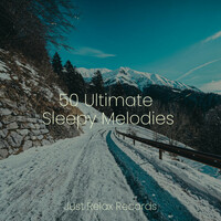 Thumbnail for the Meditation Spa - 50 Ultimate Sleepy Melodies link, provided by host site