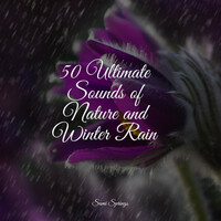 Thumbnail for the Regen - 50 Ultimate Sounds of Nature and Winter Rain link, provided by host site