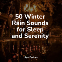 Thumbnail for the Lluvia - 50 Winter Rain Sounds for Sleep and Serenity link, provided by host site
