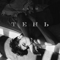 Thumbnail for the Akim - Тень link, provided by host site