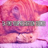 Thumbnail for the The Rest - 54 Find Your Relaxation Sounds link, provided by host site