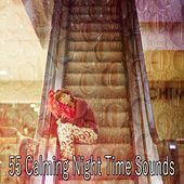 Thumbnail for the The Rest - 55 Calming Night Time Sounds link, provided by host site
