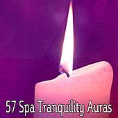 Thumbnail for the Sound Library XL - 57 Spa Tranquility Auras link, provided by host site