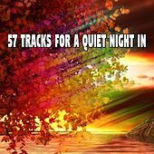 Thumbnail for the The Rest - 57 Tracks For A Quiet Night In link, provided by host site
