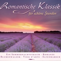Thumbnail for the Andreas Juffinger - 6 Pieces for Violin and Organ, Op. 150: 2. Abendlied link, provided by host site