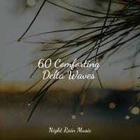 Thumbnail for the Echoes Of Nature - 60 Comforting Delta Waves link, provided by host site