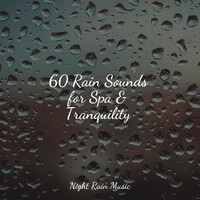 Thumbnail for the Study Zone - 60 Rain Sounds for Spa & Tranquility link, provided by host site