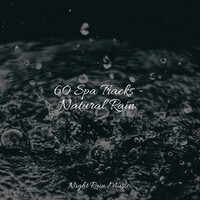 Thumbnail for the Spa - 60 Spa Tracks - Natural Rain link, provided by host site