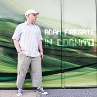 Thumbnail for the Adam Firegate - 64 Ways link, provided by host site