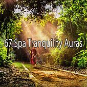 Thumbnail for the Sound Library XL - 67 Spa Tranquility Auras link, provided by host site