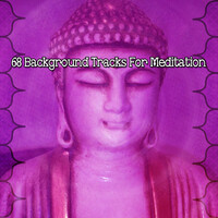 Thumbnail for the Asian Zen Meditation - 68 Background Tracks For Meditation link, provided by host site