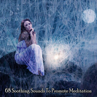 Thumbnail for the Spa - 68 Soothing Sounds To Promote Meditation link, provided by host site