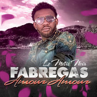 Thumbnail for the Fabregas Le Metis Noir - 7/7 link, provided by host site