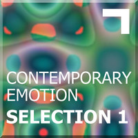 Image of Paradigma linking to their artist page due to link from them being at the top of the main table on this page