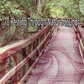 Thumbnail for the The Rest - 70 Resting Through Nature Sounds link, provided by host site