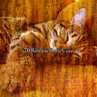 Thumbnail for the Best Relaxation Music - 70 Restless Sleep Cure link, provided by host site