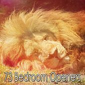 Thumbnail for the The Rest - 73 Bedroom Openers link, provided by host site