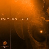 Thumbnail for the Raditz Room - 747 link, provided by host site