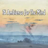 Thumbnail for the Sound Library XL - 76 Ambience For The Mind link, provided by host site