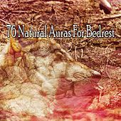 Thumbnail for the The Rest - 76 Natural Auras For Bedrest link, provided by host site