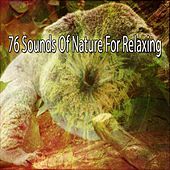 Thumbnail for the The Rest - 76 Sounds Of Nature For Relaxing link, provided by host site
