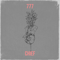 Thumbnail for the Chief - 777 link, provided by host site