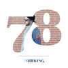 Thumbnail for the Toteking - 78 link, provided by host site