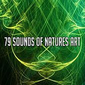Thumbnail for the The Rest - 79 Sounds Of Natures Art link, provided by host site