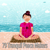Thumbnail for the New Age - 79 Tranquil Peace Makers link, provided by host site