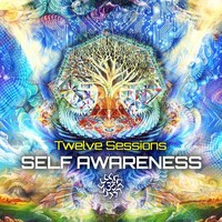Thumbnail for the Braincell - 8 Hours of Madness - Twelve Sessions Remix link, provided by host site