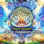 Thumbnail for the Braincell - 8 Hours of Madness (Twelve Sessions Remix) link, provided by host site