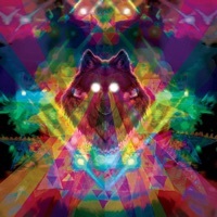 Image of Machinedrum linking to their artist page due to link from them being at the top of the main table on this page