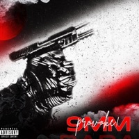 Thumbnail for the Provoke - 9Mm link, provided by host site