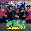 Thumbnail for the Los Toros Band - A Bailar link, provided by host site