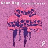 Thumbnail for the Sean Ray - A Beautiful End link, provided by host site