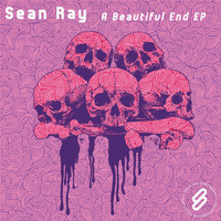 Thumbnail for the Sean Ray - A Beautiful End link, provided by host site