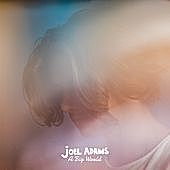 Thumbnail for the Joel Adams - A Big World link, provided by host site