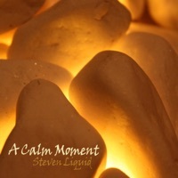 Thumbnail for the Steven Liquid - A Calm Moment link, provided by host site