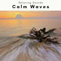 Image of Seashore Waves linking to their artist page due to link from them being at the top of the main table on this page