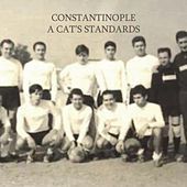 Thumbnail for the Constantinople - A Cat's Standards link, provided by host site