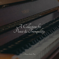 Thumbnail for the Piano Love Songs - A Collection for Peace & Tranquility link, provided by host site