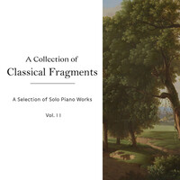 Thumbnail for the Johann Sebastian Bach - "A Collection of Classical Fragments", Vol 2 link, provided by host site