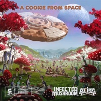 Thumbnail for the Infected Mushroom - A Cookie from Space link, provided by host site