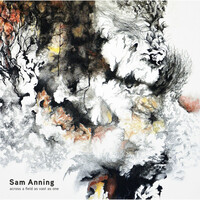 Thumbnail for the Sam Anning - A Field As Vast As One link, provided by host site
