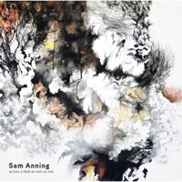 Thumbnail for the Sam Anning - A Field As Vast As One link, provided by host site