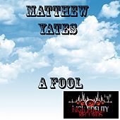 Thumbnail for the Matthew Yates - A Fool link, provided by host site
