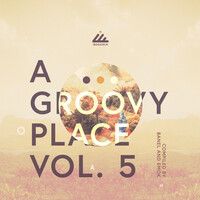 Thumbnail for the Michael Banel - A Groovy Place, Vol. 5 link, provided by host site